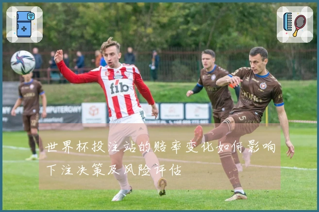 世界杯投注站的赔率变化如何影响下注决策及风险评估