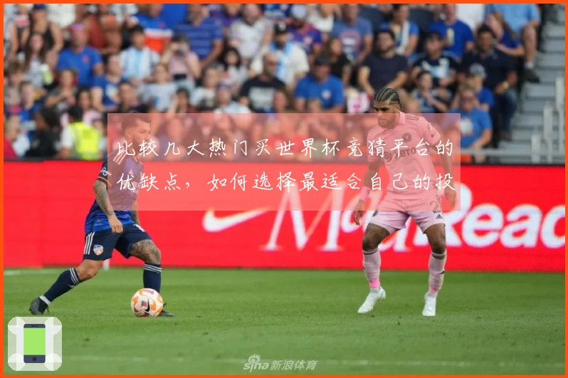 比较几大热门买世界杯竞猜平台的优缺点，如何选择最适合自己的投注方式？